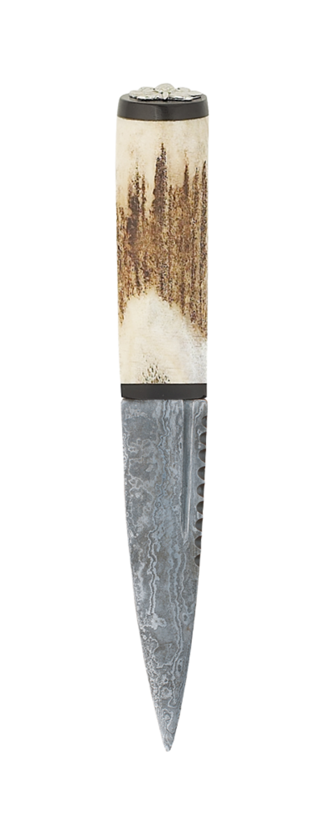 Staghorn Thistle Sgian Dubh With Blackwood And Damascus Blade