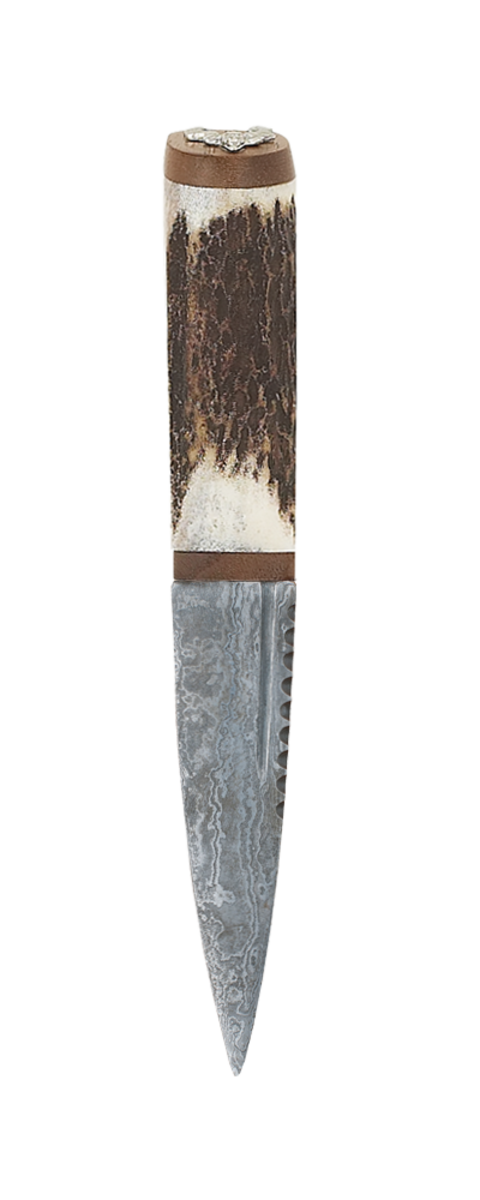 Sgian Dubh Antler Stag With Walnut And Damascus Blade