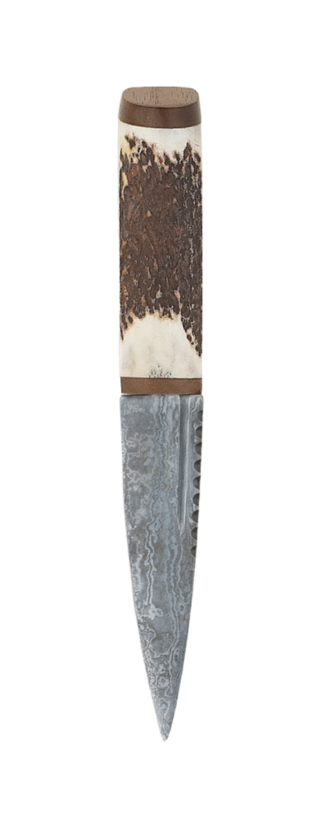 Staghorn Sgian Dubh With Walnut And Damascus Blade