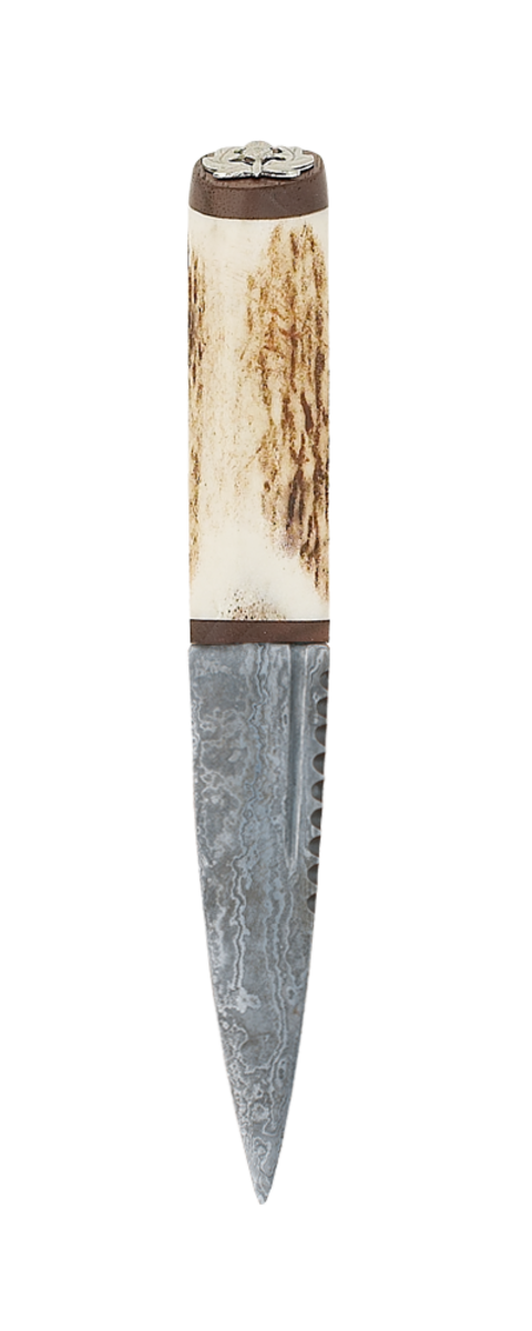 Staghorn Sgian Dubh Thistle With Walnut And Damascus Blade Thumbnail
